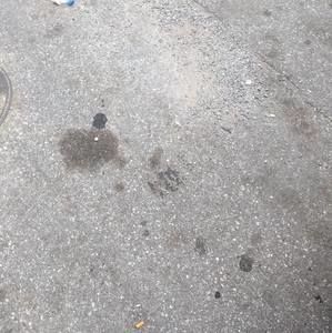 Meet your Posher, Stephen